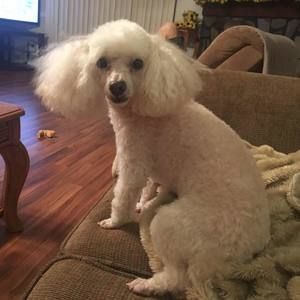 Meet your Posher, Stephanie